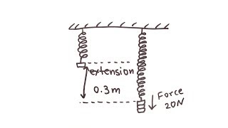 Hookes Law  GCSE Physics  Doodle Science [upl. by Geier]