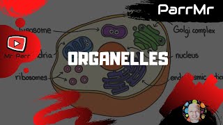 Organelles Song [upl. by Eciened280]