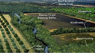 Agroforestry Ecosystem Services and Wildlife Habitat [upl. by Iatnahs]