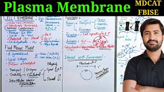 Plasma membrane or Cell membrane its structure and function Fbise biology class 11 and MDCAT [upl. by Ainar]