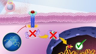 Mechanism of Action of JAK Inhibitors [upl. by Armilda]