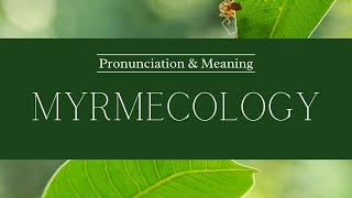 How to Pronounce Myrmecology  British Pronunciation amp Meaning [upl. by Attiuqal182]