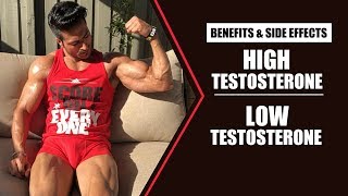 HIGH Testosterone vs LOW Testosterone  info by Guru Mann [upl. by Liris]