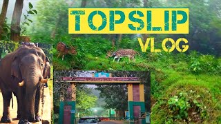 Topslip Tourist places Tamil  Elephant Camp  Anaimalai Tiger Reserve Forest [upl. by Lebatsirc]