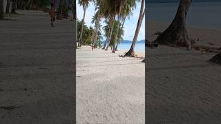 The Beach Club Boracay philippines travel boracay beach [upl. by Skippie649]