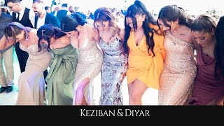 Keziban amp Diyar  Dersim  Pazarcik  GRUP MERAN  Memo Davul Zurna MirVideoProduction ® [upl. by Ahsats384]