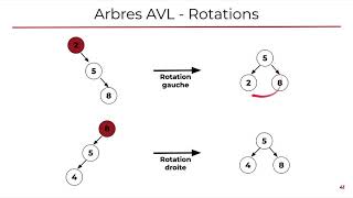 M121 Structures de données  07 Arbres AVL  Rotations  Partie 1 [upl. by Mellar]