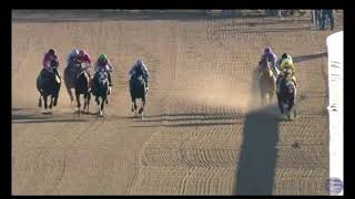 Aqueduct Racetrack Spill Dec 3 2021 Eighth Race [upl. by Eibur]