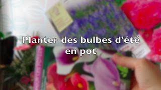 ✿ Planter des bulbes dété en pot pour le balcon  Arum Begonia Triteleia [upl. by Lebasiairam]