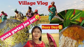 Village Life Bodo Video Ondla with Local Chicken Curry Guma Gwtao ji dong😧 Bodo village Girl [upl. by Llibyc]