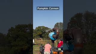 Ever shot a pumpkin 🎃pumpkinpatch pumpkinfest [upl. by Anelram844]