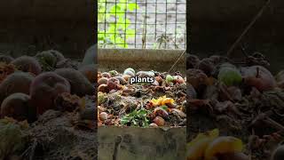 Decomposition Reaction in Ecosystems  biology science ecosystem shorts shortsvideo shortsfeed [upl. by Eilatam]