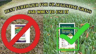 The Best Fertilizer For St Augustine Grass  When To Fertilize Your Lawn [upl. by Mcgannon]