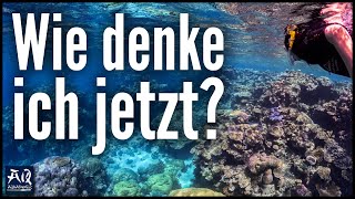 Ändert sich meine Aquaristik nach meinen Riffbesuchen  AquaOwner [upl. by Elyrad]