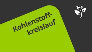 Der biologische Kohlenstoffkreislauf  Biologie  Ökologie [upl. by Nirrak]