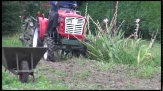 Yanmar 1510D Kartoffelernte 3 mit Lanz LK20 Potato Harvester Part 3 HD [upl. by Kashden]