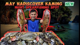 NEW FISHING SPOT 2024 spearfishingphilippines grouperfishing spearfishingphilipines nightdive [upl. by Soble49]