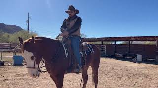 AZHT Correcting a Heady Horse with Hackamore [upl. by Ettennil]