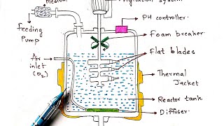 Submerged fermentation process  Fed batch and continuous fermentation  Bio science [upl. by Trow9]