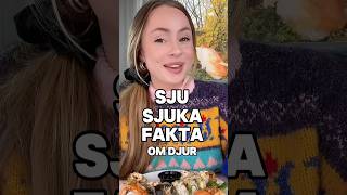 Djuret kan leva UTAN HUVUD Visste du det 😱 sjukfakta roligfakta djurfakta sushimukbang [upl. by Emia635]