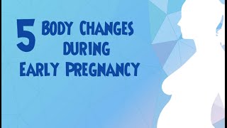 5 Body Changes During Early Pregnancy [upl. by Sunev]