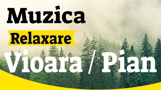 Muzica de relaxare pian 60 min youtube  Muzica de relaxare vioara in natura si pasari mp3 download [upl. by Onaicilef]