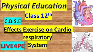 Effects of exercise on cardio respiratory system  Class 12 Live4pe [upl. by Robinson]