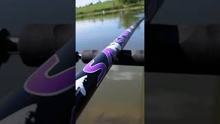 STORIONI A ROUBASIENNE 💥 PESCA DIVERTENTE EDECONOMICA fishing fishingvideo sturgeon bigfish [upl. by Arreic]