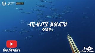 Atlantic Bonito  Serra  Azores [upl. by Harrod965]