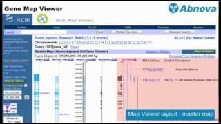 Gene Map Viewer [upl. by Arekat]