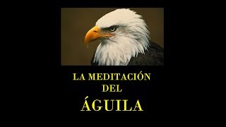 La MEDITACIÓN DEL ÁGUILA [upl. by Annoynek193]