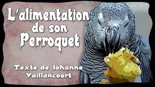 Comment bien nourrir son perroquet Selon les textes de Johanne Vaillancourt [upl. by Blumenfeld]