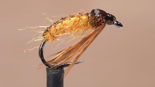 October Caddis Pupa [upl. by Lenahs]