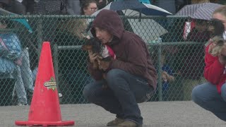 Annual wiener dog race held at Batavia Downs [upl. by Marissa]