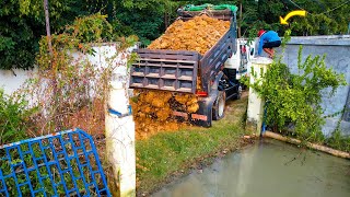 Start a New Project Landfill on Flooded​ ​Christian Church by Dozer D20A amp 5Ton Trucks Pushing Soil [upl. by Arret]