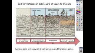 Intro to Soil lecture [upl. by Ellenwad]