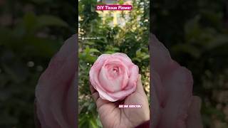 DIY Tissue Rose Flower  Day 33100 of ArtCraft Challenge shorts shortsfeed [upl. by Anilet927]