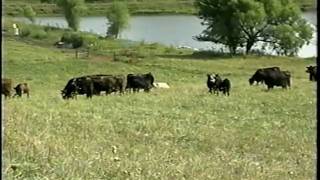 Managed Grazing  Part 2  Animal Management [upl. by Aer]