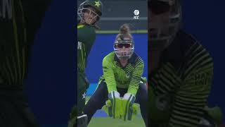 So thats where the ball went 🙃 YTShorts CricketShorts [upl. by Illil]