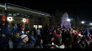 Tree Lighting Ceremony 2015 [upl. by Theall]