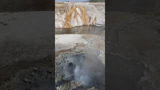 Old Faithful an iconic geyser in Yellowstone National Park shorts travel yellowstone [upl. by Yllor]