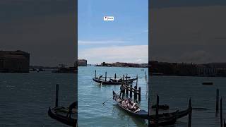 Venice Italy 🇮🇹 venice shorts italy ytshorts travel [upl. by Ragucci]