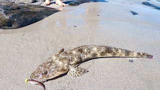 Finding FLATHEAD in South Australia  blue spot flathead [upl. by Hanan]