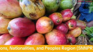 Fruits Market in Dilla Town Gedeo South Ethiopia Region [upl. by Elleiand143]