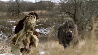 Walking With Beasts Woolly Rhino attack extended scene [upl. by Hillie]