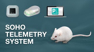 The Future of Infectious Disease Research  SoHo Telemetry System by DSI [upl. by Hoxsie]