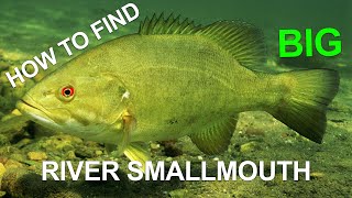 How to Find BIG River Smallmouth [upl. by Eelirak885]