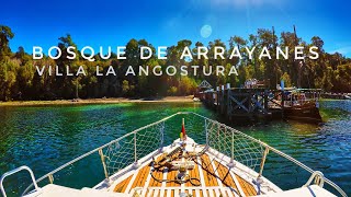 🏝 Bosque de Arrayanes 🇦🇷 Patagonia Argentina 4K [upl. by Anauqahc]