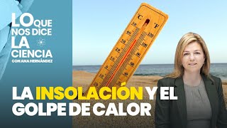 Lo que nos dice la ciencia Insolación y golpe de calor ¿son lo mismo [upl. by Esyli]