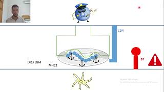 10 pathogenese diabete type 1 [upl. by Ahsenod215]